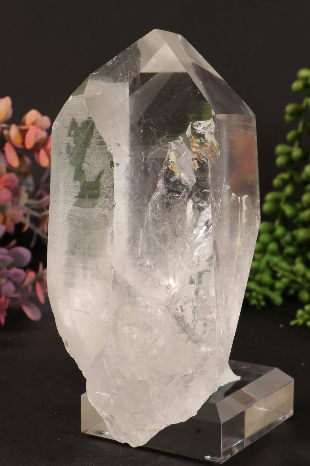 Phantom Lemurian DM1253