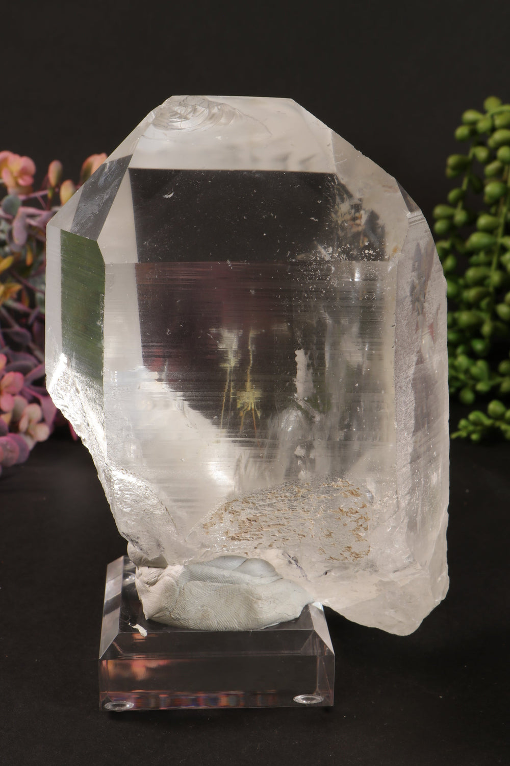Phantom Lemurian DM1253