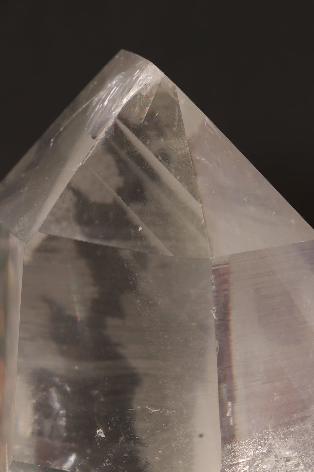 Phantom Lemurian DM1253