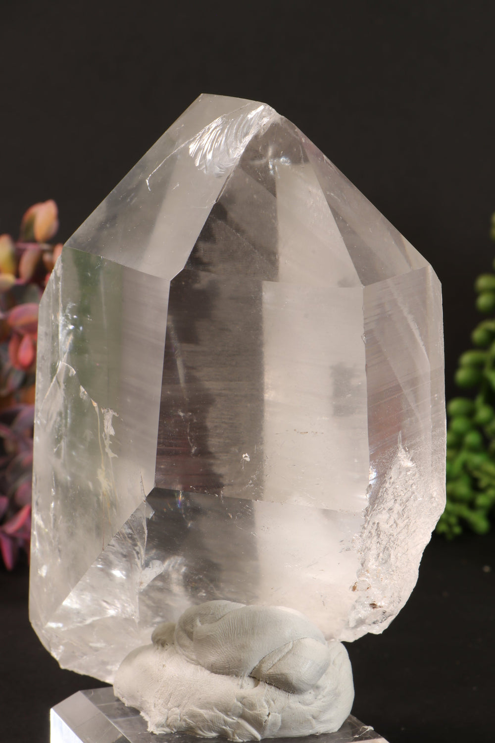 Phantom Lemurian DM1253