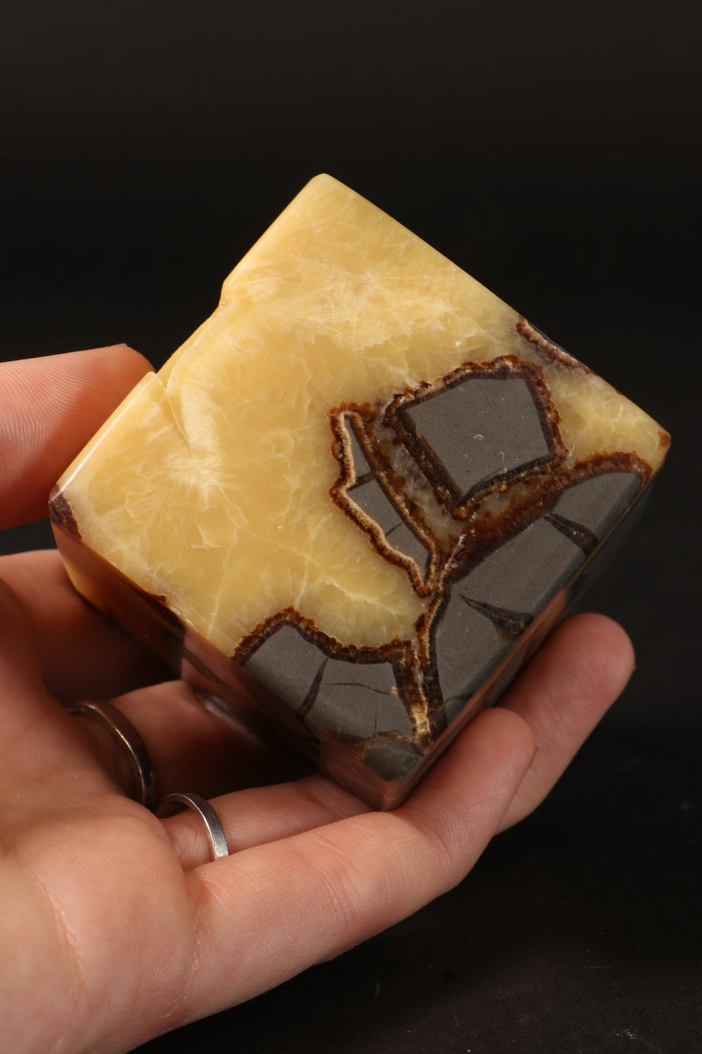 Cut Base Septarian Cube DM1260
