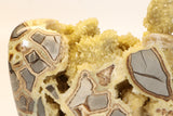 Septarian Geode Freeform with Barite DM1267