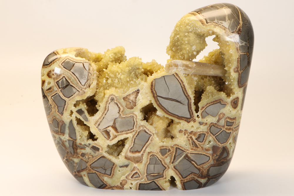 Septarian Geode Freeform with Barite DM1267