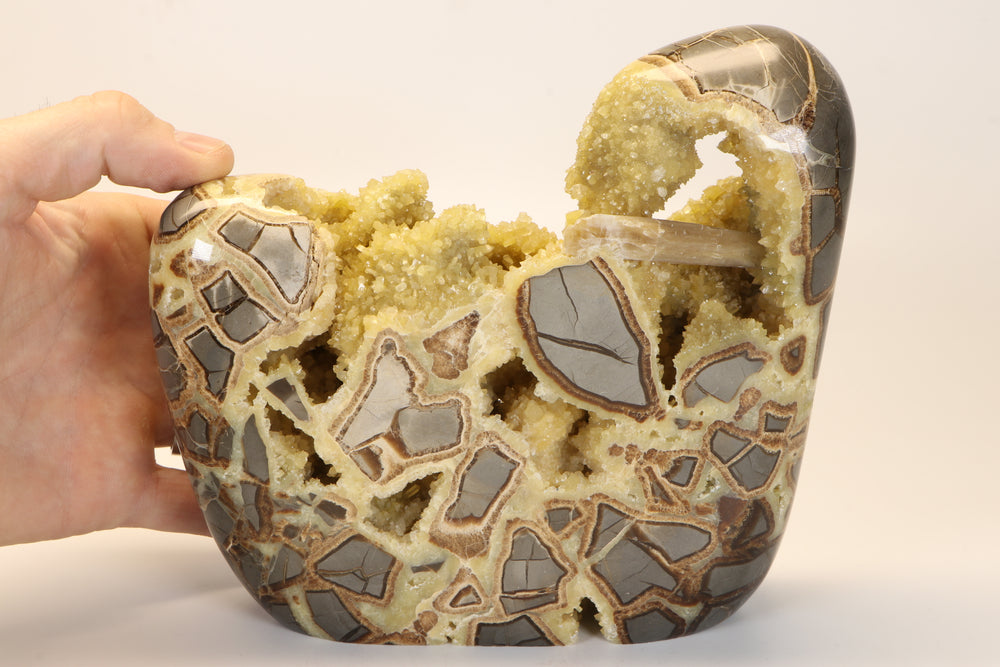Septarian Geode Freeform with Barite DM1267