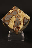 Cut Base Septarian Cube DM1356