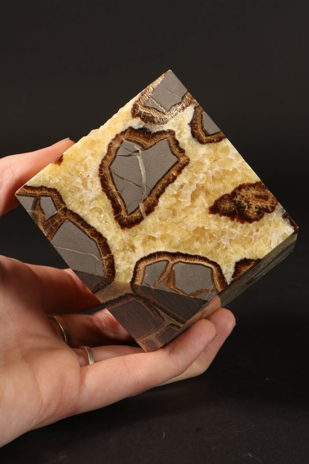 Cut Base Septarian Cube DM1356