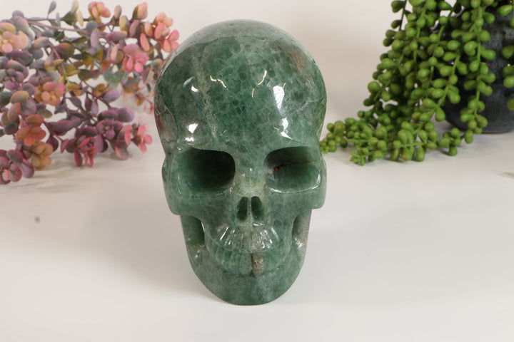 5" Spinal Green Aventurine Skull DM146