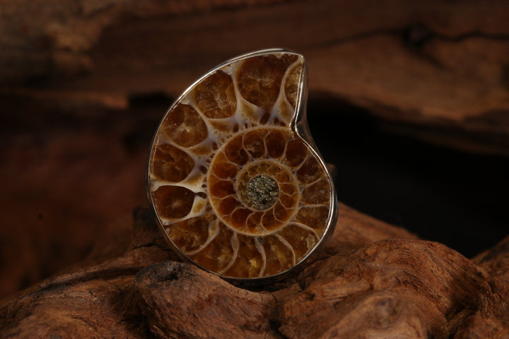 Ammonite Ring Size 7 DS1947