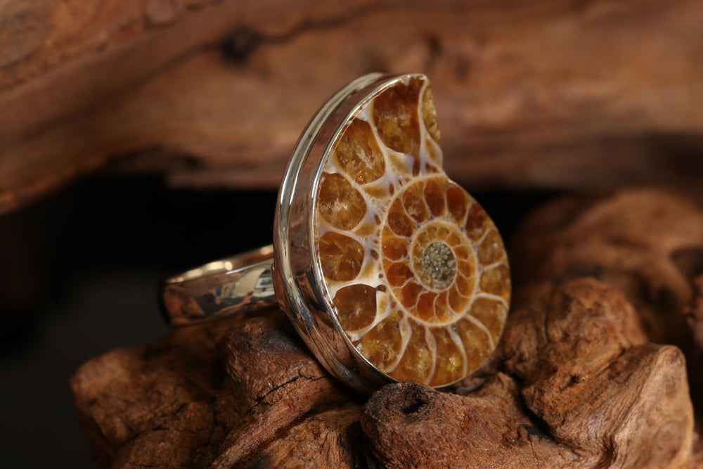 Ammonite Ring Size 7 DM1482