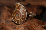 Ammonite Ring Size 7 DM1497