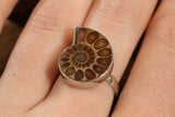 Ammonite Ring Size 7 DM1497