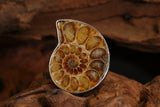 Ammonite Ring Size 8 DM1503