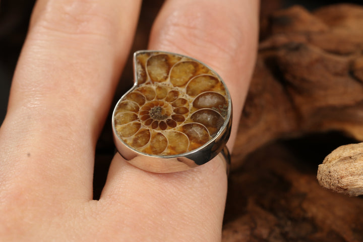 Ammonite Ring Size 8 DS1956