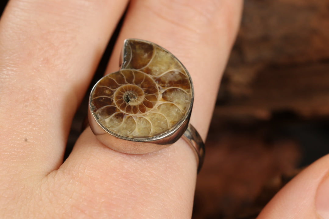 Ammonite Ring Size 9 DS1938