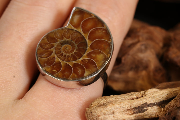 Ammonite Ring Size 8 DS1957