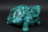 Chrysocolla Malachite Tortoise Carving DM186