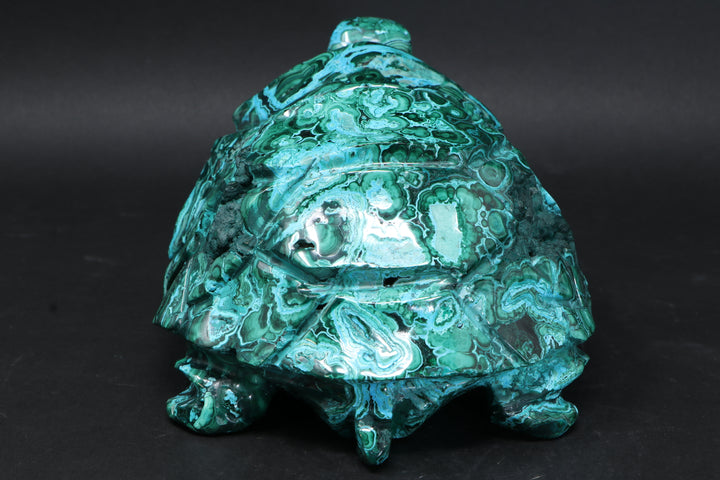 Chrysocolla Malachite Tortoise Carving DM186