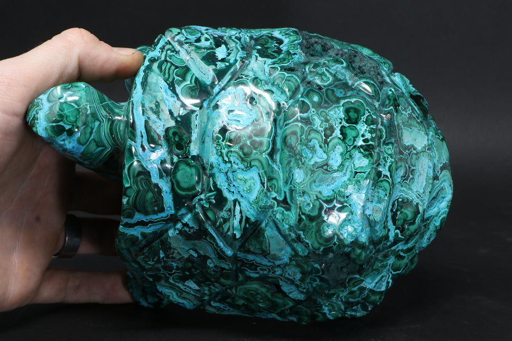 Chrysocolla Malachite Tortoise Carving DM186