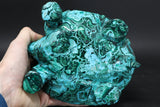 Chrysocolla Malachite Tortoise Carving DM186
