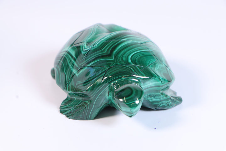 Malachite Turtle Carving DM193