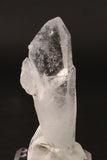 4" Colombian Lemurian DM255