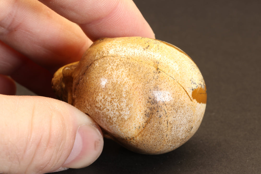 Picture Jasper Skull DM340