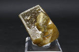 Xiefang Mine Golden Barite Specimen DM419