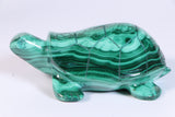 Malachite Turtle Carving DM454