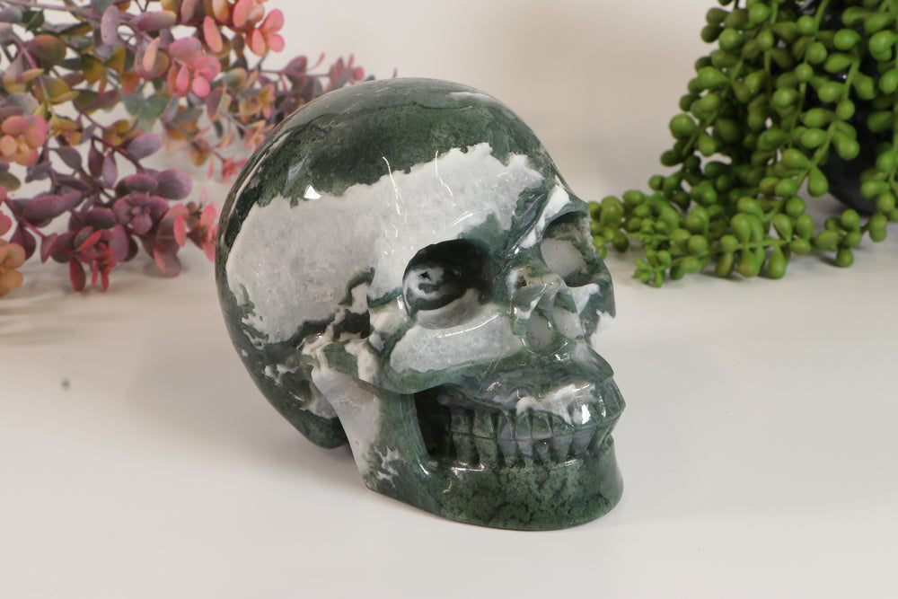 5" Moss Agate Skull DM456