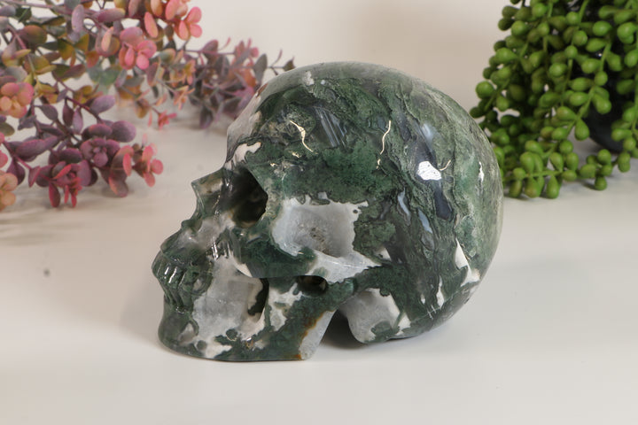5" Moss Agate Skull DM456