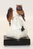 Fluorite Owls on Albite DM481