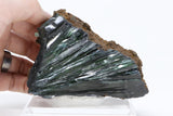 Brazilian Vivianite Specimen DM776