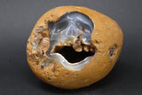 Agate Nodule Skull Carving DM922