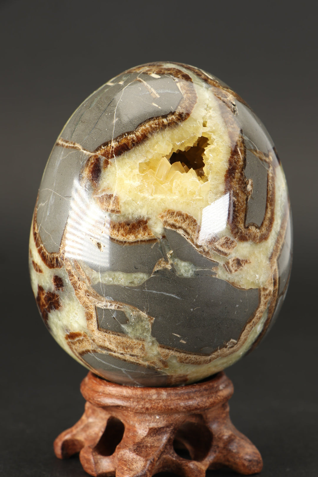 Septarian Geode Egg DS1232