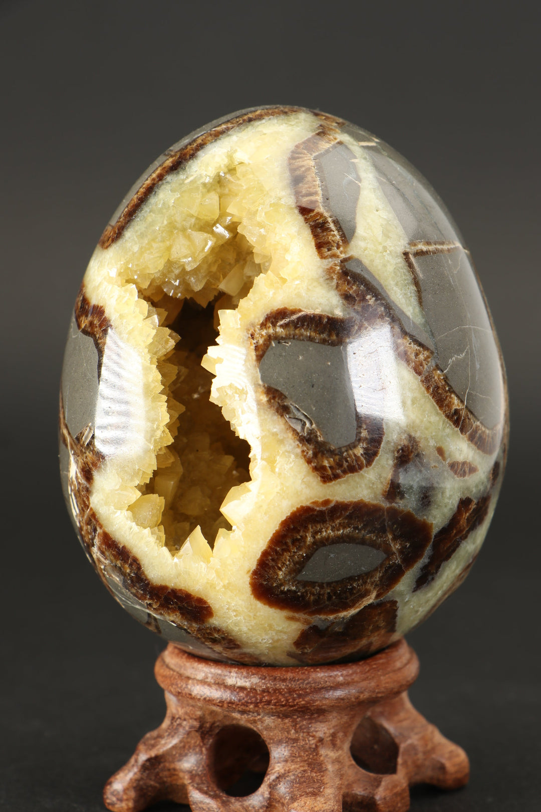 Septarian Geode Egg DS1232