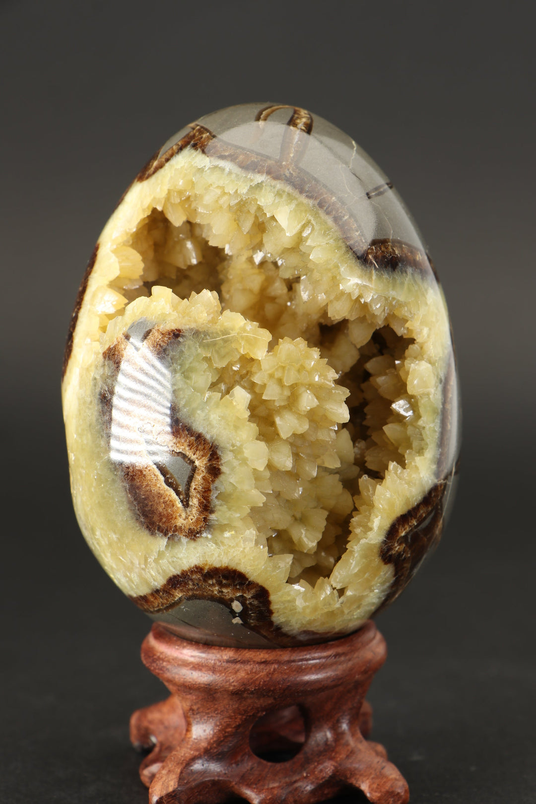 Septarian Geode Egg DS1528