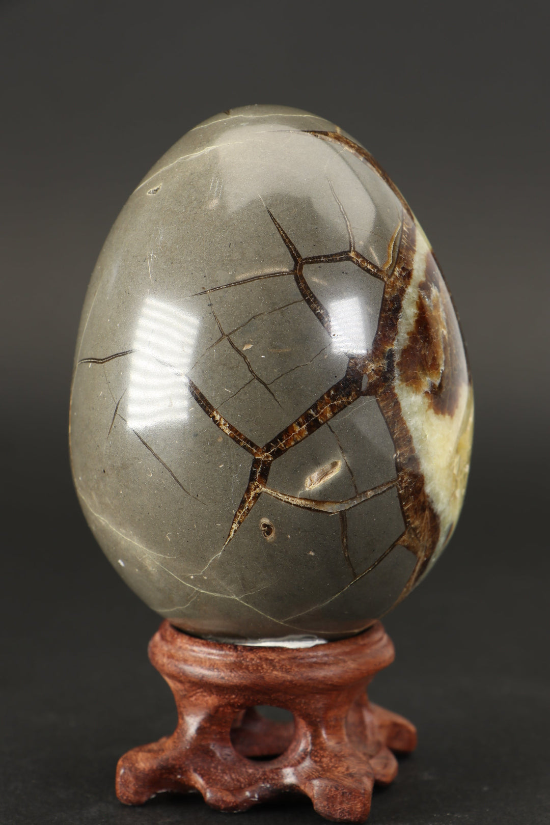 Septarian Geode Egg DS1528