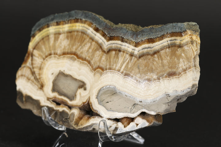 Barite with Marcasite Slab DS1616
