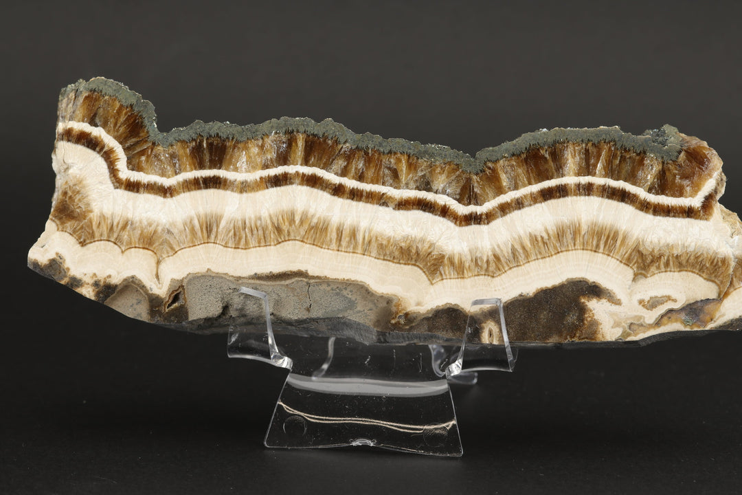 Barite with Marcasite Slab DS1623