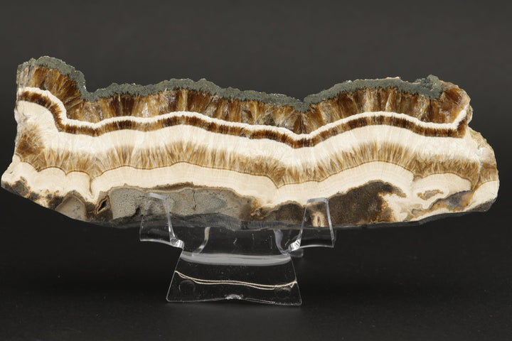 Barite with Marcasite Slab DS1623