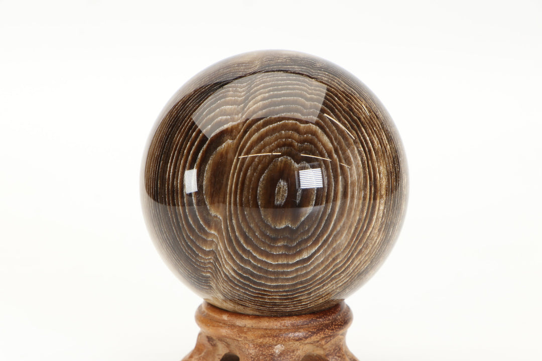 2.6" Petrified Wood Sphere DS1840