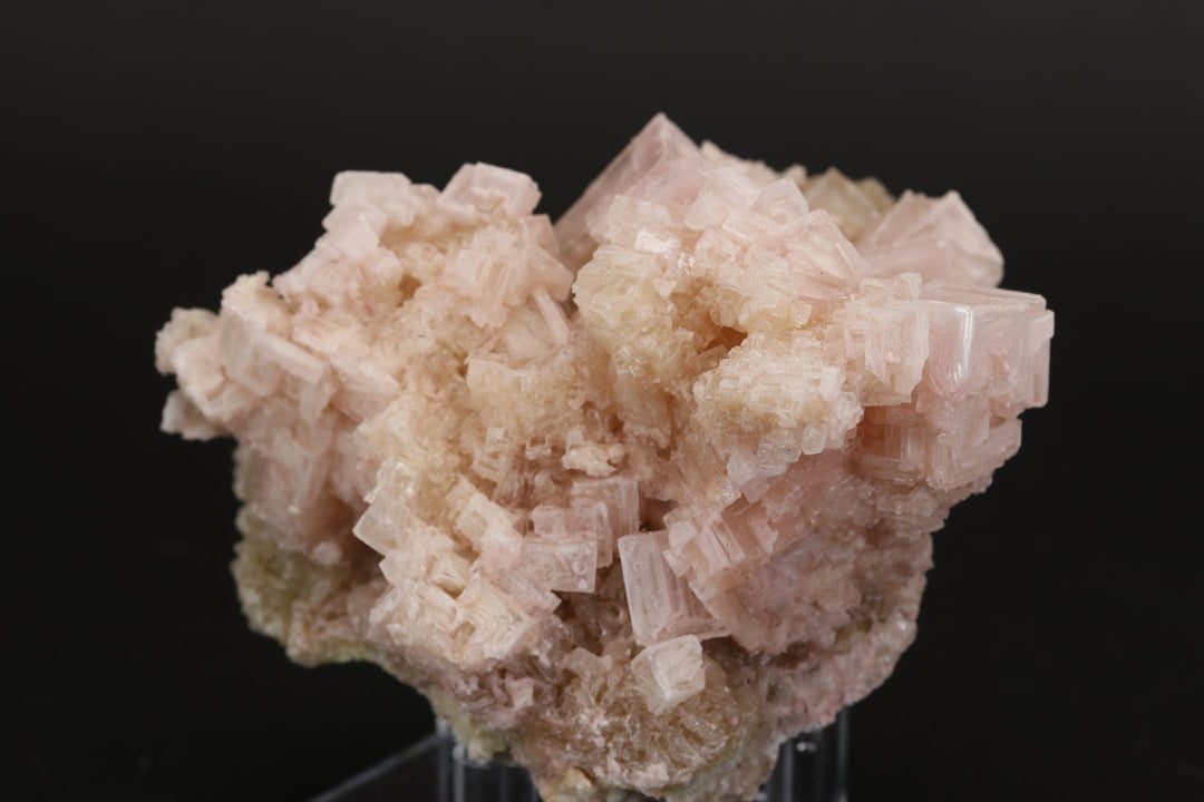 Pink Halite on Trona Specimen DS540