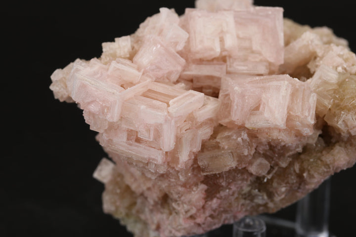 Pink Halite on Trona Specimen DS540