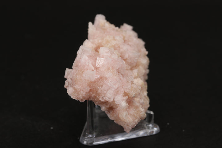 Pink Halite on Trona Specimen DS550