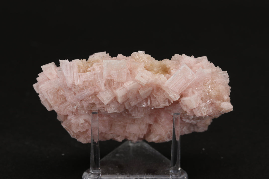 Pink Halite on Trona Specimen DS550