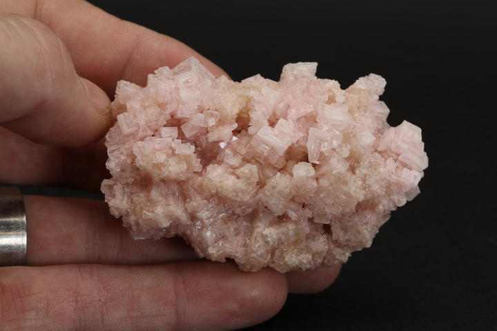 Pink Halite on Trona Specimen DS550