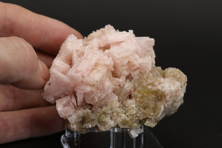 Pink Halite on Trona Specimen DS557