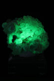 Mexican Hyalite Opal Specimen DX1367