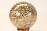 4.25" Leopard Skin Jasper Sphere DX1664