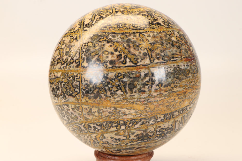 5" Leopard Skin Jasper Sphere DX1666